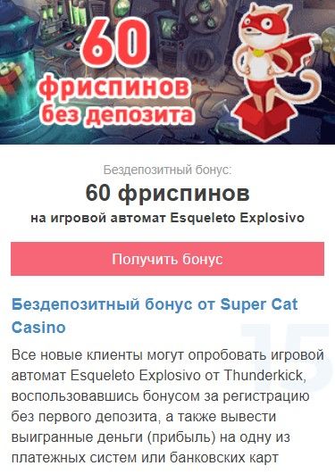 cat casino бездепозитный бонус за регистрацию промокод